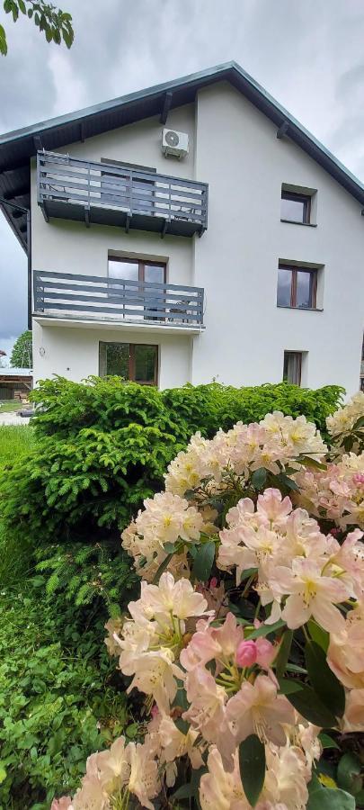 Apartamenty Montania فيسلا المظهر الخارجي الصورة