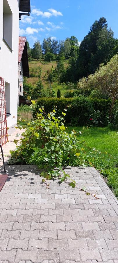 Apartamenty Montania فيسلا المظهر الخارجي الصورة